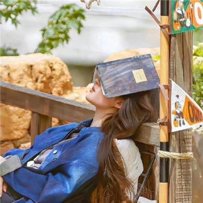 抗日奇侠之武功队