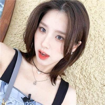 会飞的驴
